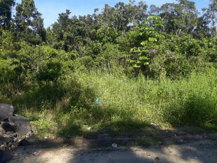 Ref.: T-060 - Desfrute de dias ensolarados nesse terreno no balneário Praia Grande em Matinhos - PR